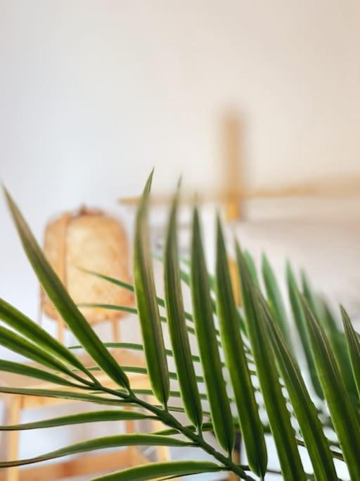 Apartamento Casa Bamboo Corralejo, Espacioso, Piscina Y Parking Eksteriør bilde