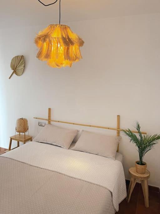 Apartamento Casa Bamboo Corralejo, Espacioso, Piscina Y Parking Eksteriør bilde