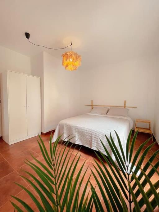 Apartamento Casa Bamboo Corralejo, Espacioso, Piscina Y Parking Eksteriør bilde