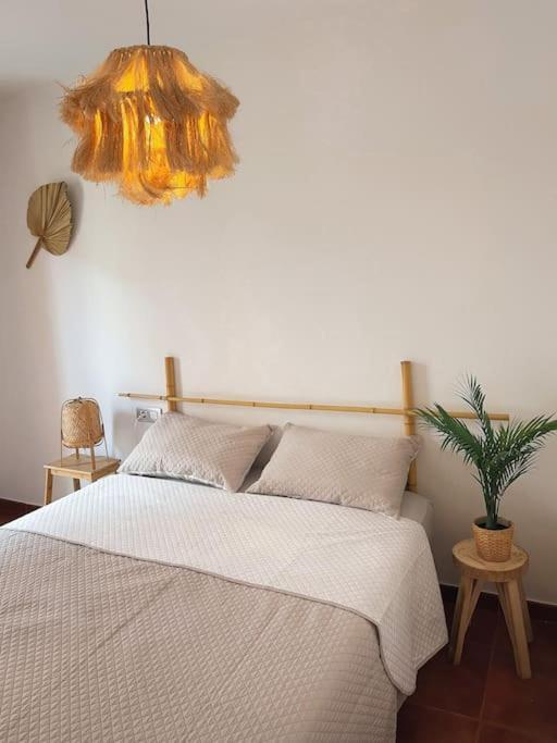 Apartamento Casa Bamboo Corralejo, Espacioso, Piscina Y Parking Eksteriør bilde