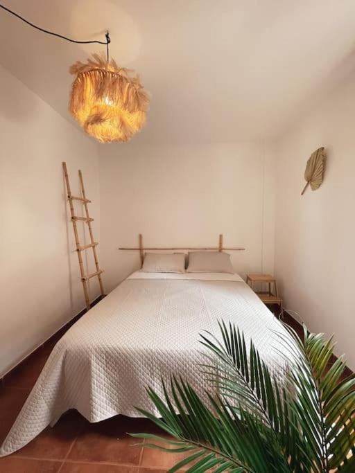 Apartamento Casa Bamboo Corralejo, Espacioso, Piscina Y Parking Eksteriør bilde