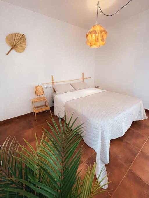 Apartamento Casa Bamboo Corralejo, Espacioso, Piscina Y Parking Eksteriør bilde