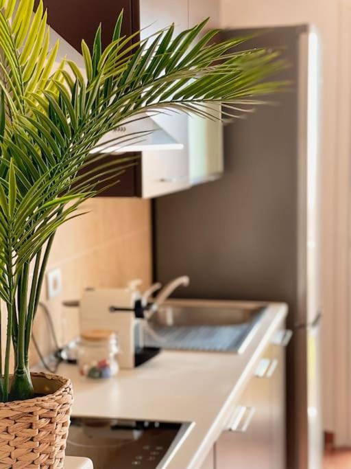 Apartamento Casa Bamboo Corralejo, Espacioso, Piscina Y Parking Eksteriør bilde